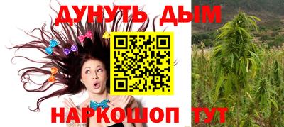 Альфа ПВП Будённовск