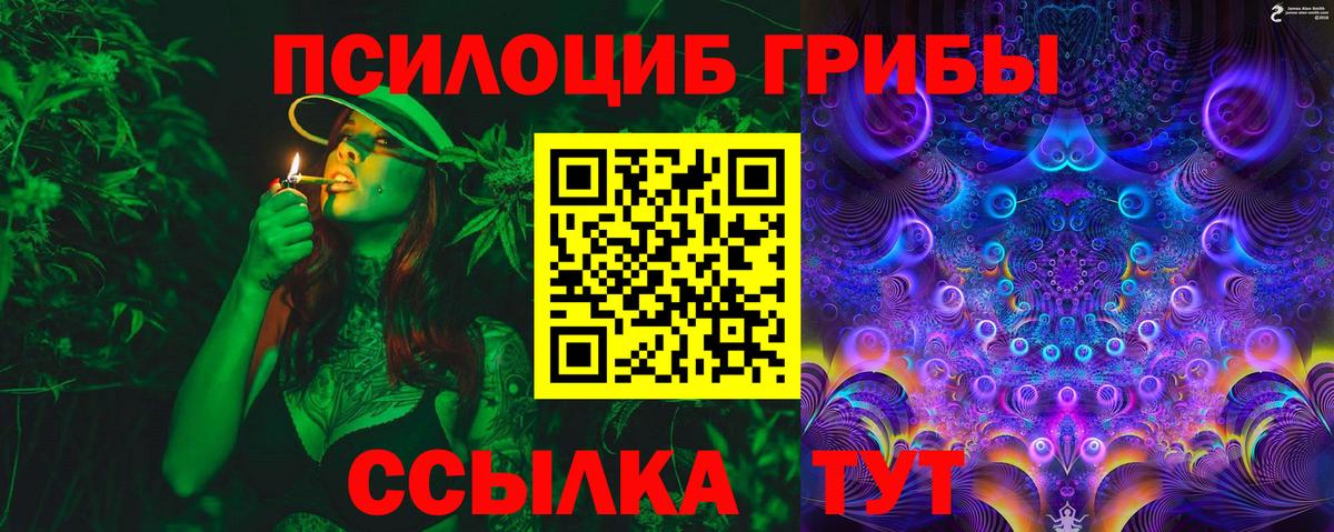 Свободный  Псилоцибиновые грибы мицелий  Вход с VPN  как найти закладки  Псилоцибиновые грибы прущие грибы 
