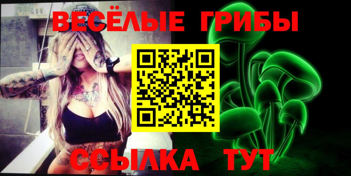 Галлюциногенные грибы Psilocybine cubensis Свободный